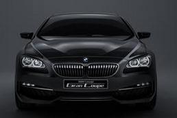 PUMA技术通报—屏幕中只显示 BMW 标志的原因